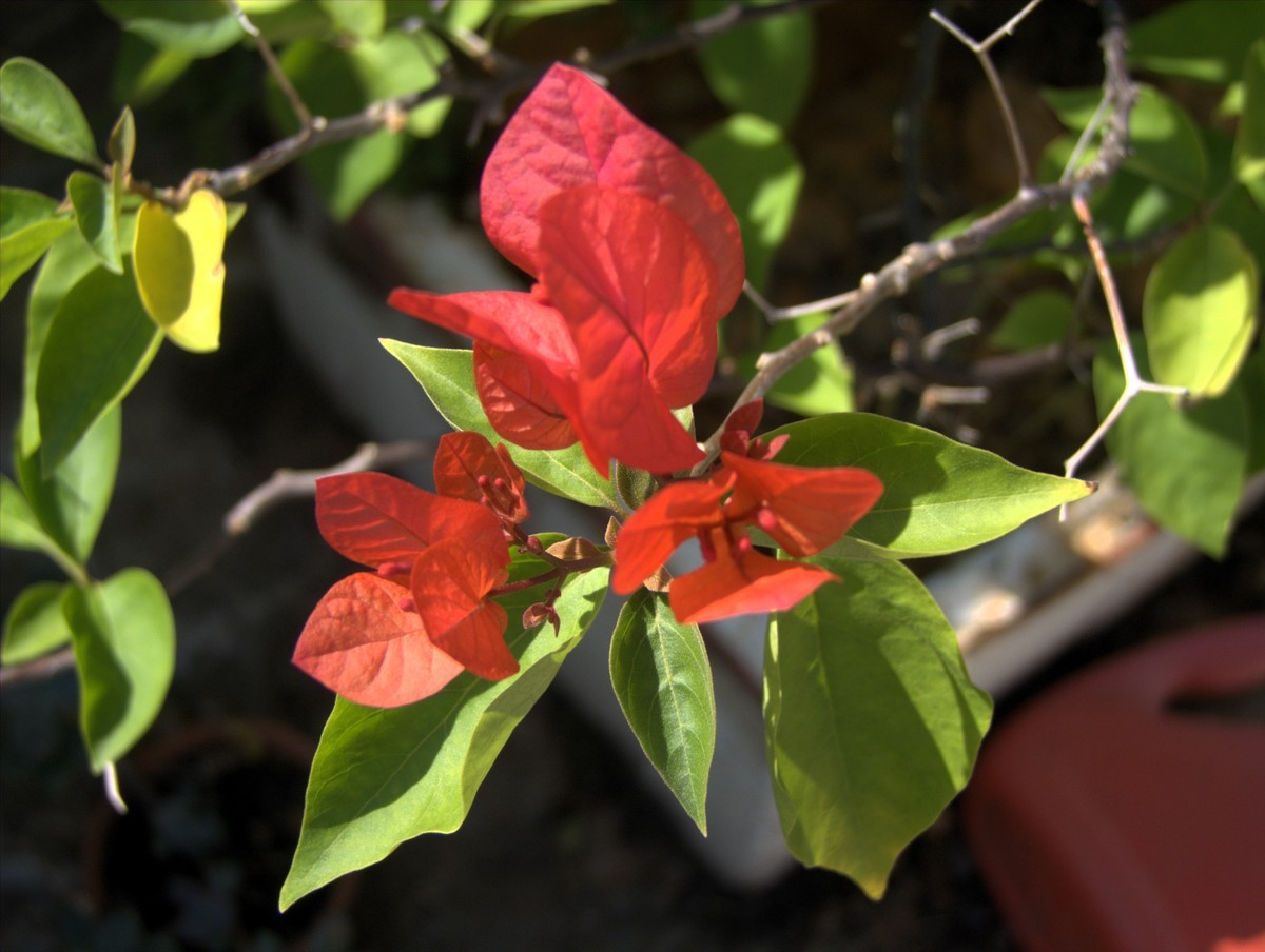 2008年的相机还是可以的