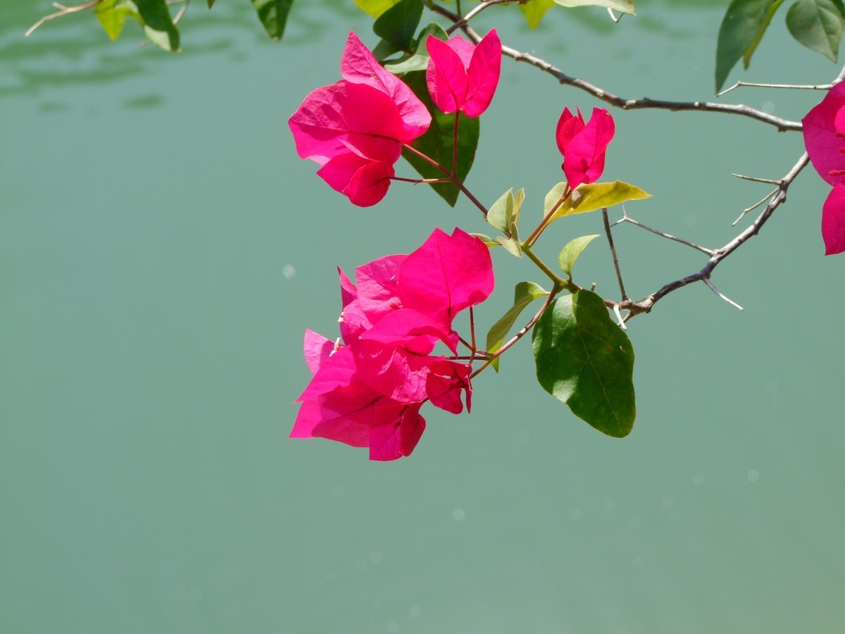 2008年的相机还是可以的