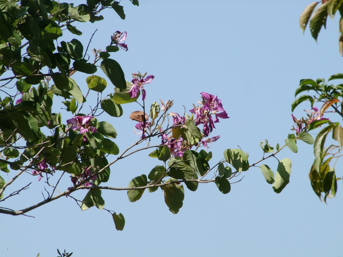 2008年的相机还是可以的