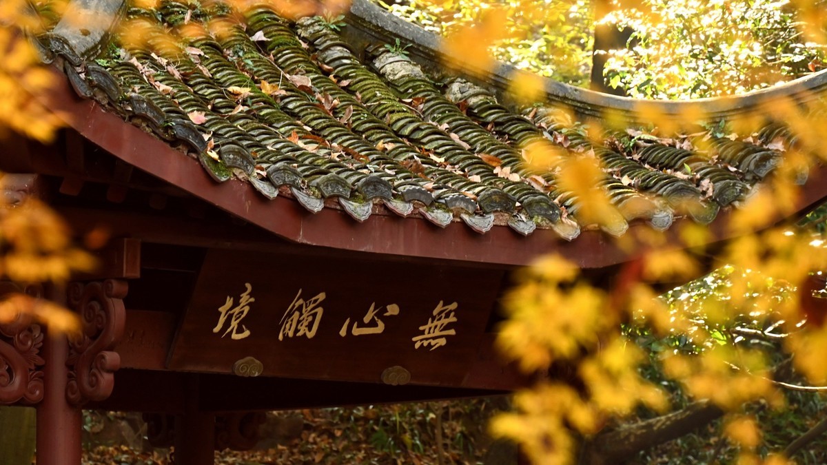 【虎跑泉赏秋—尼康Z5 24-200旅游头 直出】