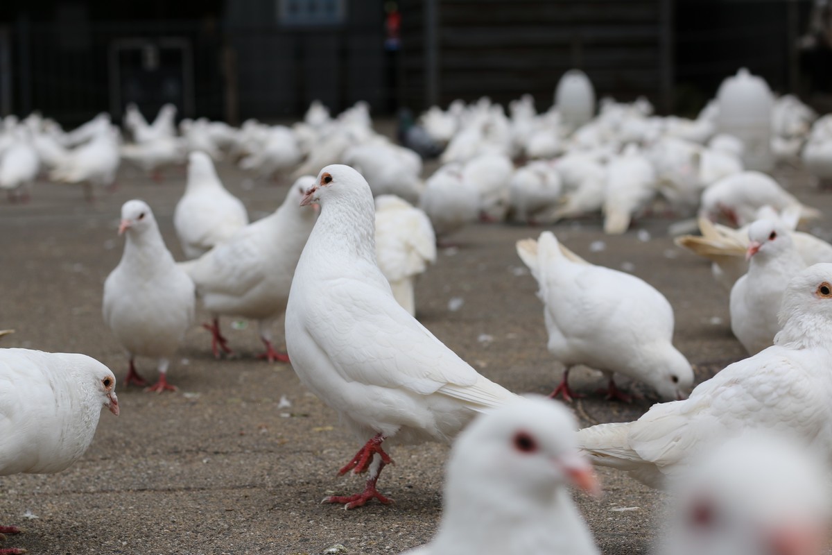 公园里的那些人和事