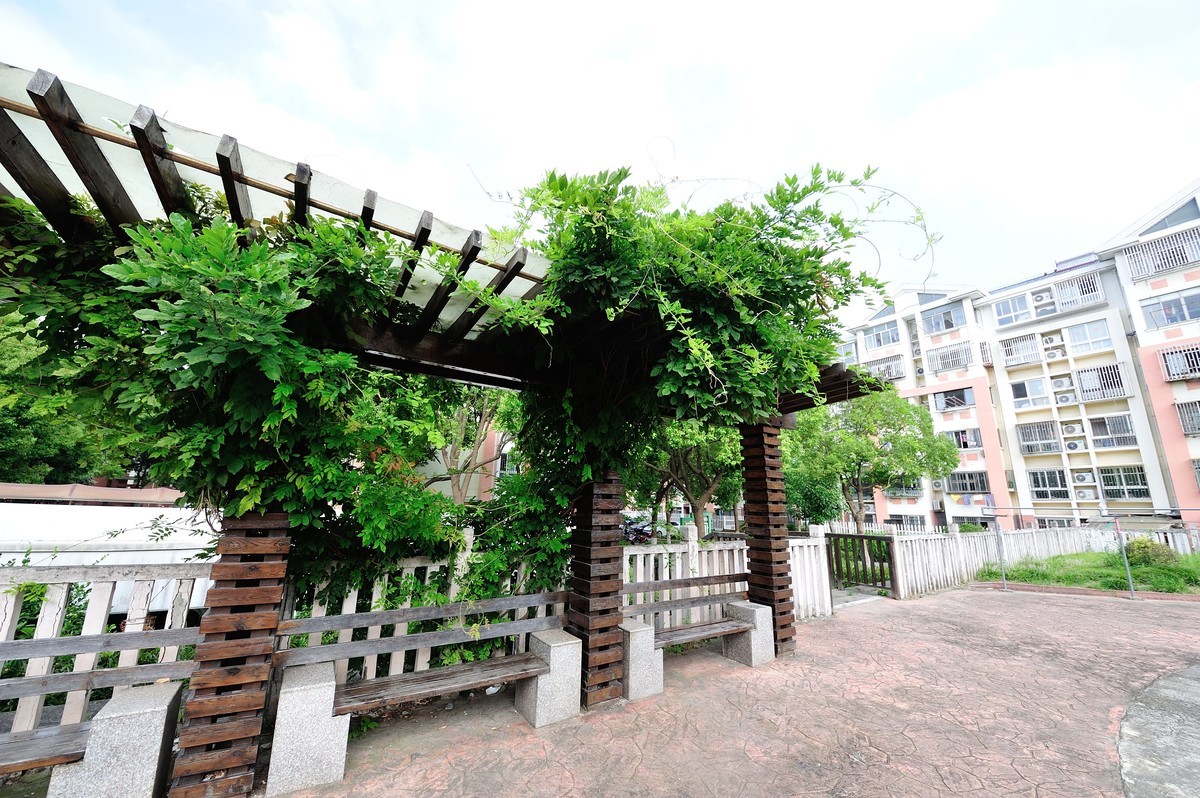 小区里面瞎鸡儿乱拍