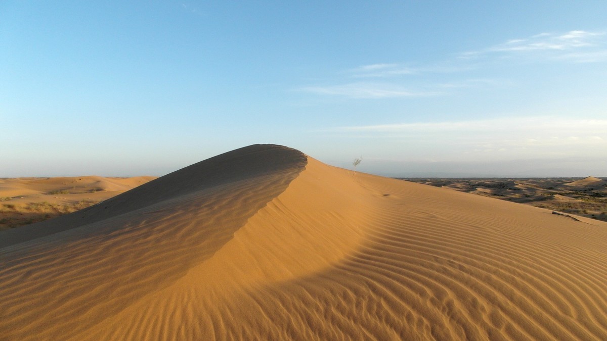 想问沙漠借那一根曲线