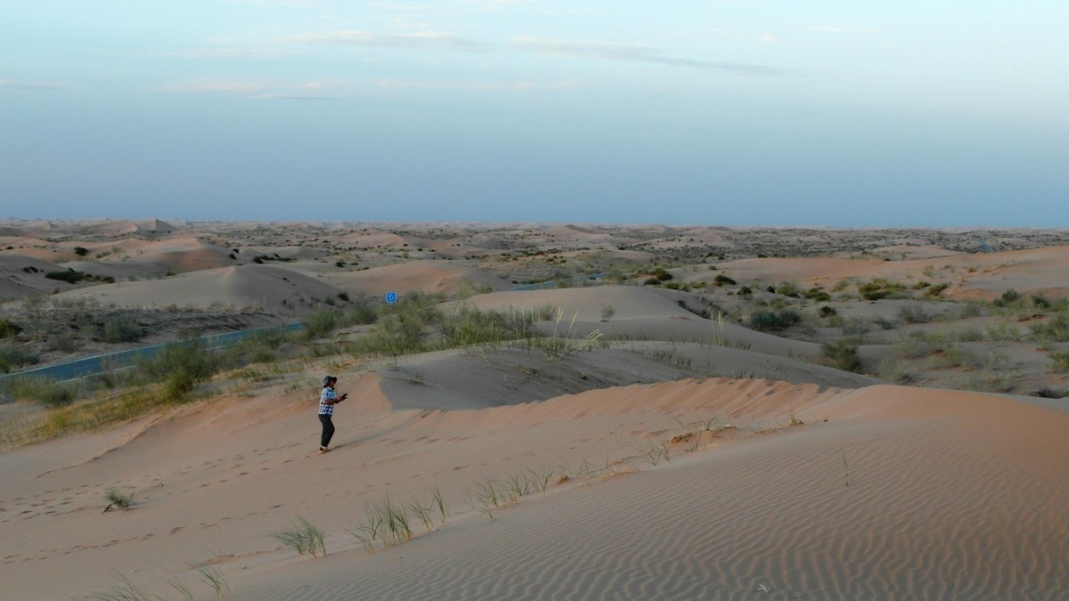 想问沙漠借那一根曲线