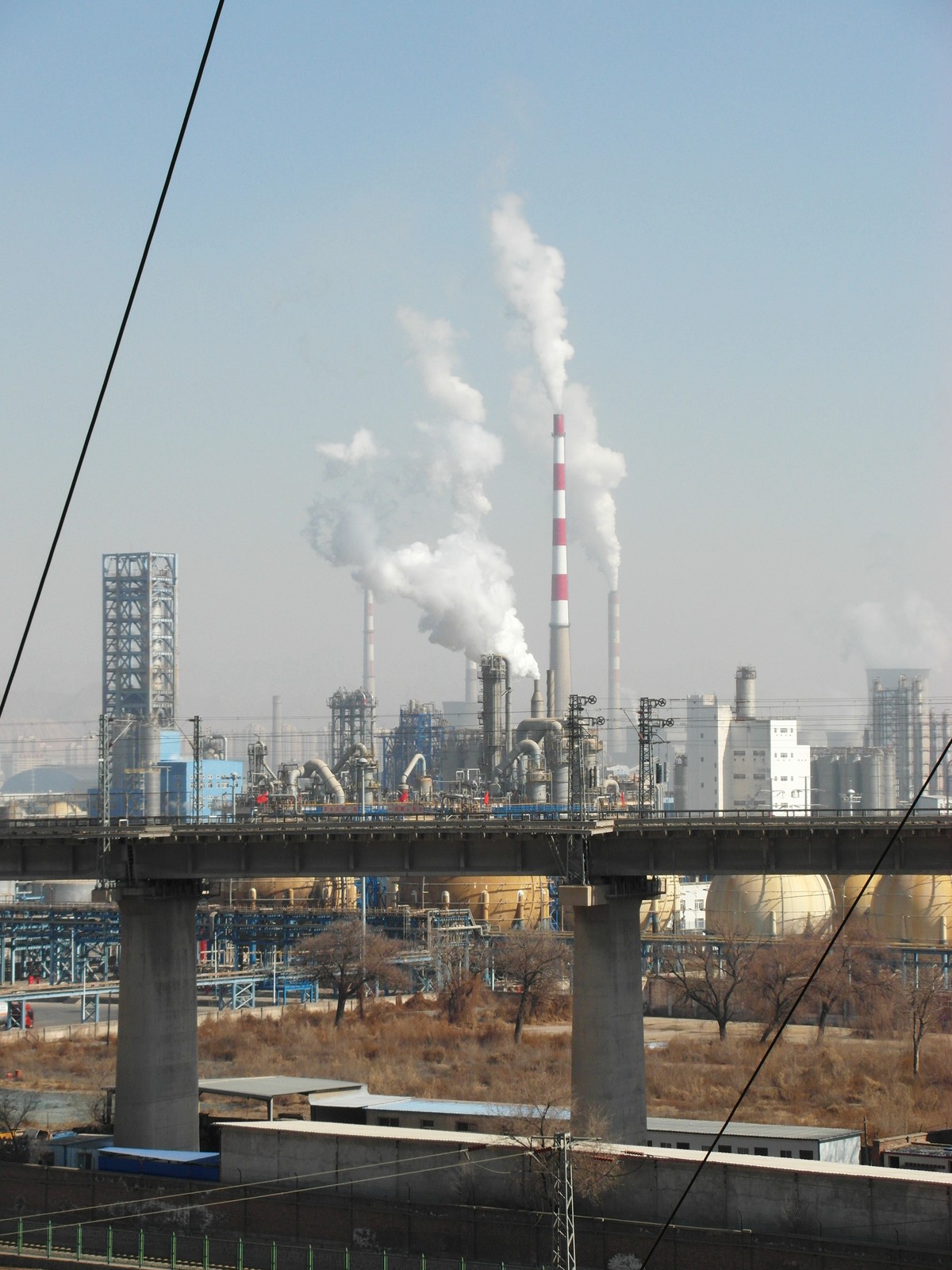 2024大年初一，万象更新。