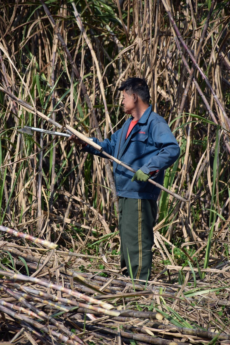 2024春节 滇桂沿边行（57）下冻镇布局村
