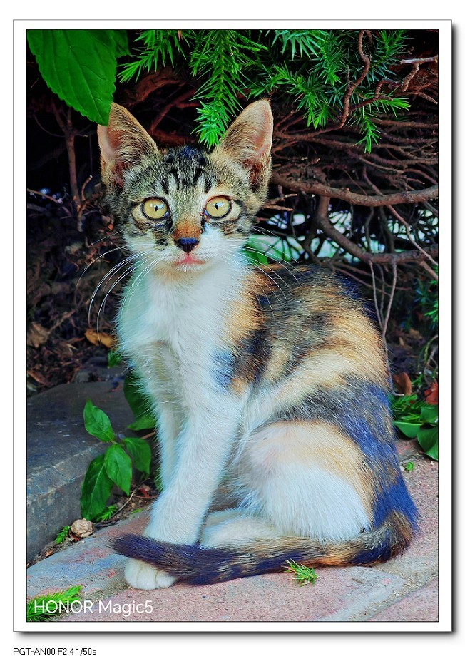 报到帖大爷就是老了天一热只剩下喘气得劲了好久没上贴了终于凉快点了赶紧上一贴哈哈！