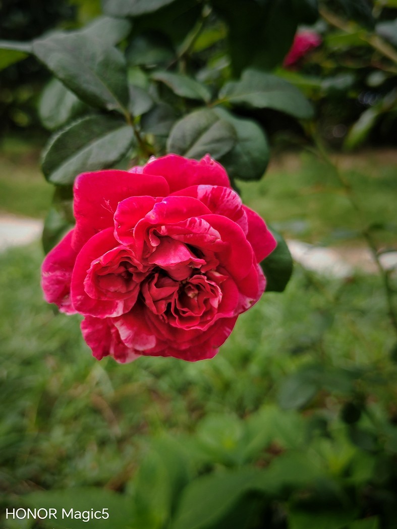 报到帖大爷就是老了天一热只剩下喘气得劲了好久没上贴了终于凉快点了赶紧上一贴哈哈！