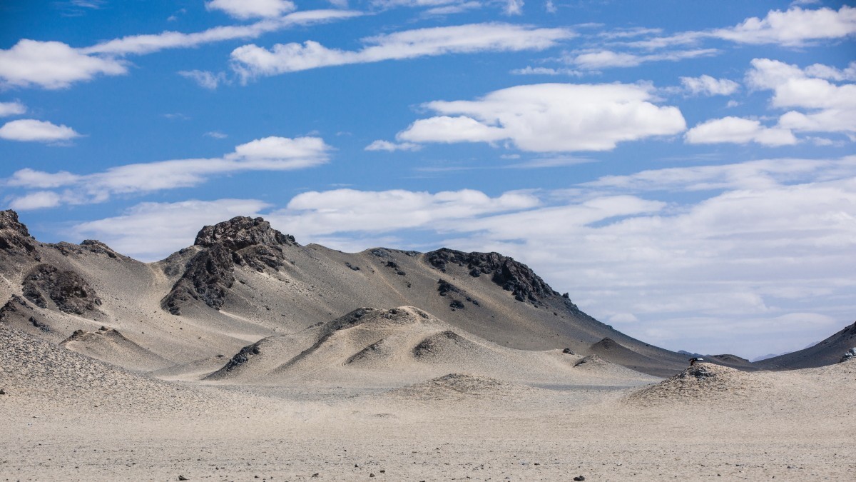 外出随拍（续220）.