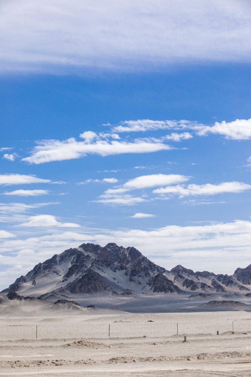 外出随拍（续220）.