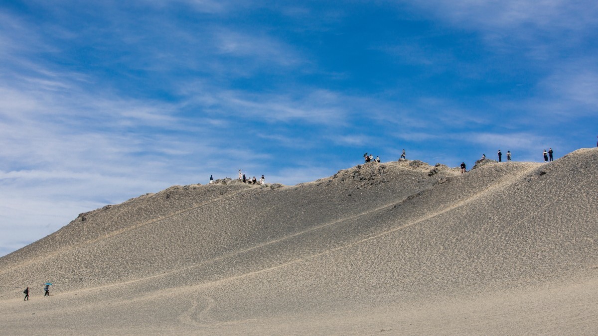 外出随拍（续220）.
