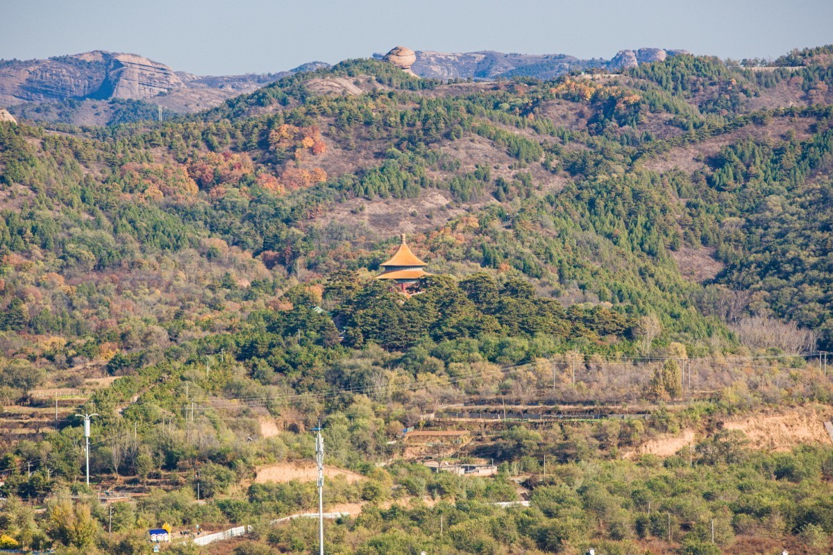 外出随拍（续348）.