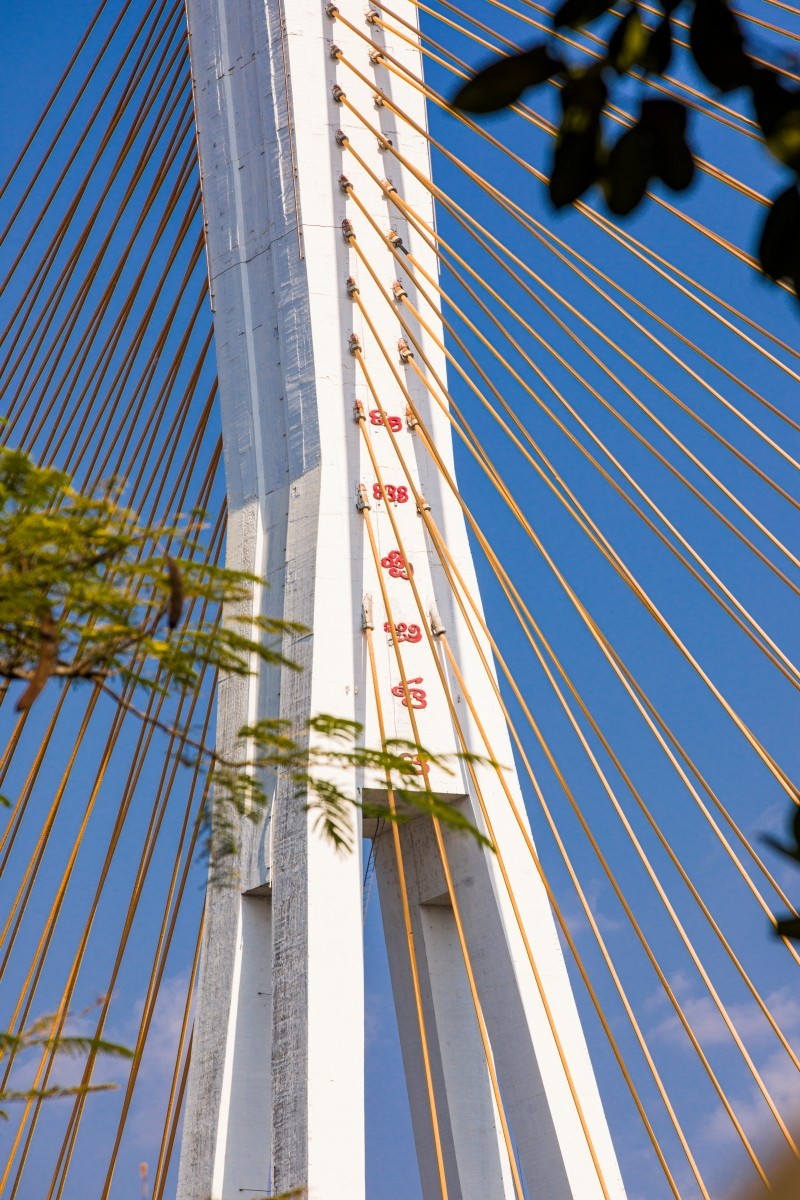 外出随拍（续349）.