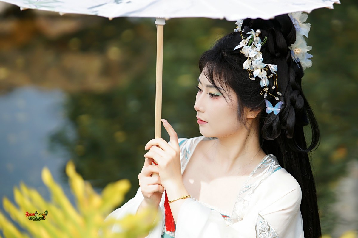 【水苑之花】---陈晨