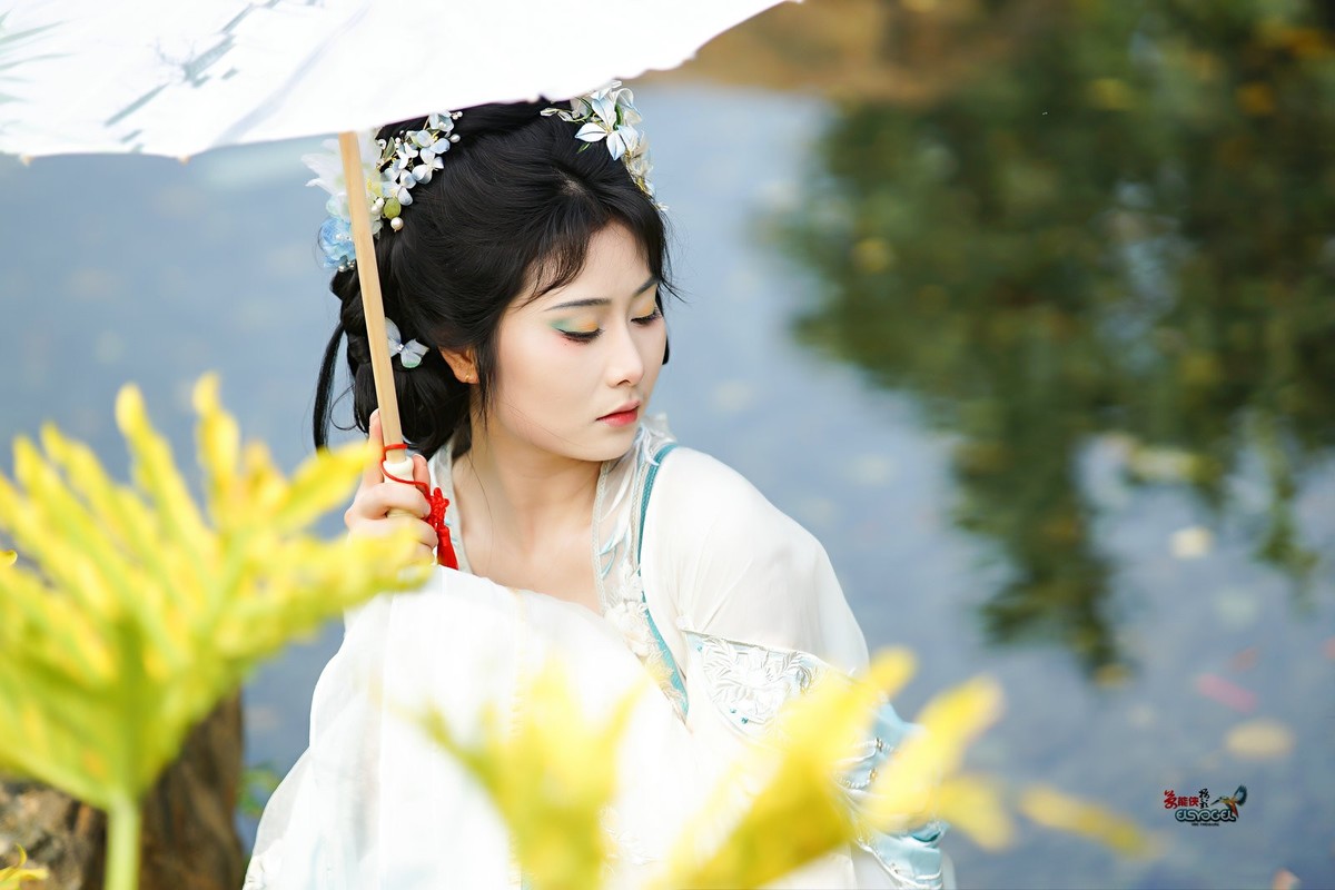 【水苑之花】---陈晨