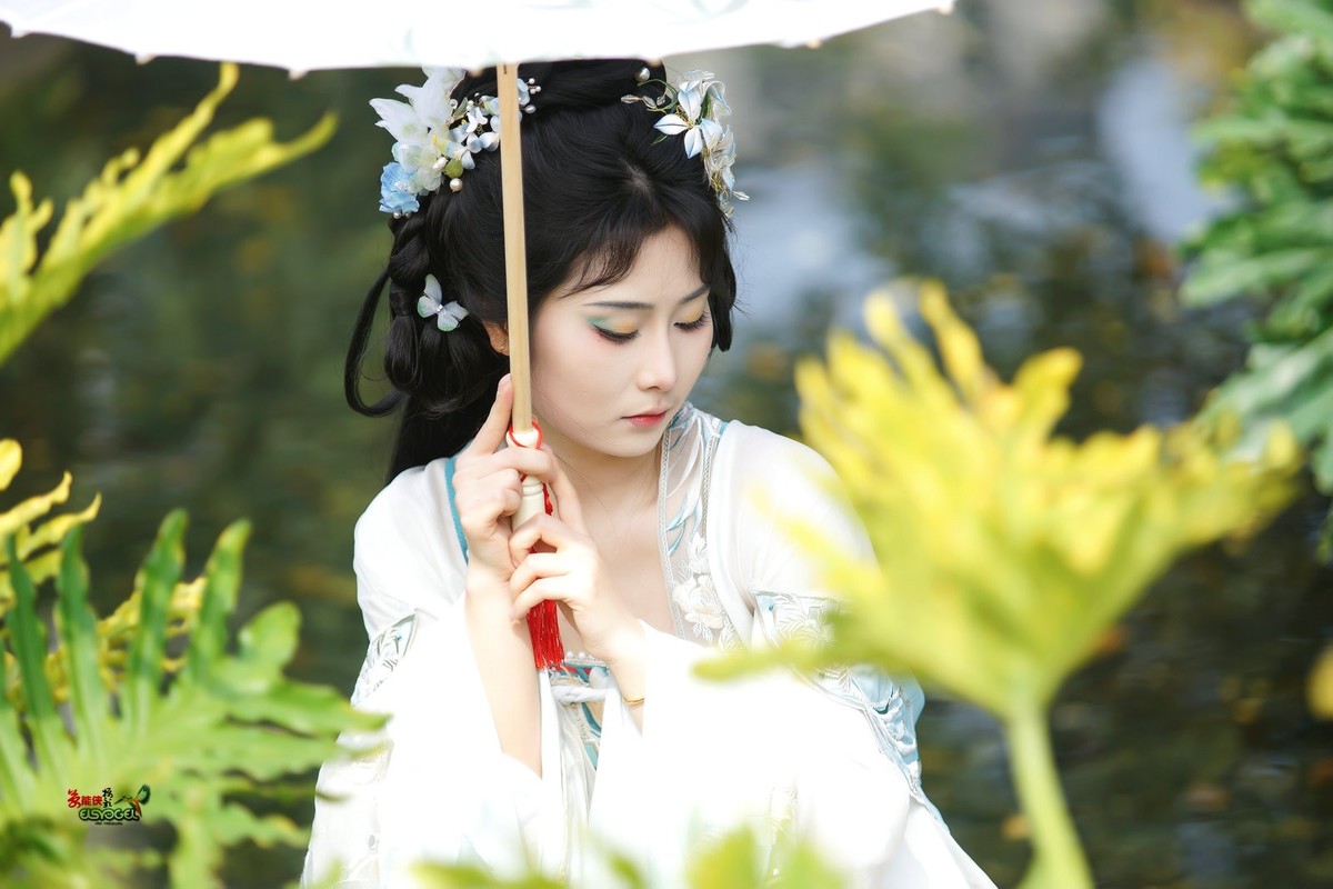 【水苑之花】---陈晨