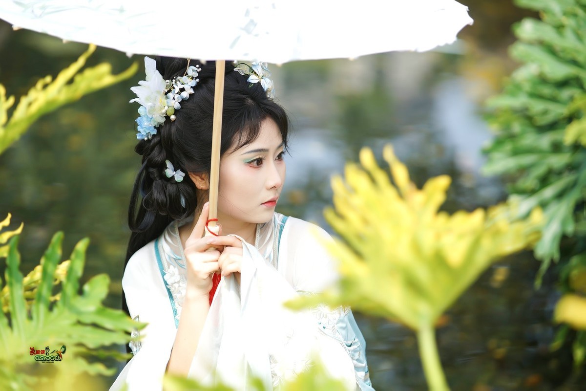 【水苑之花】---陈晨