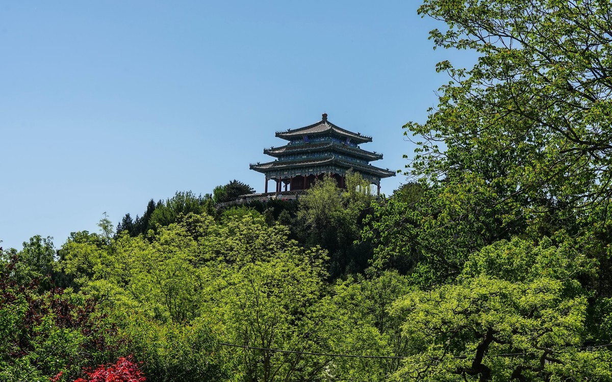 春游景山公园20250422 《3》