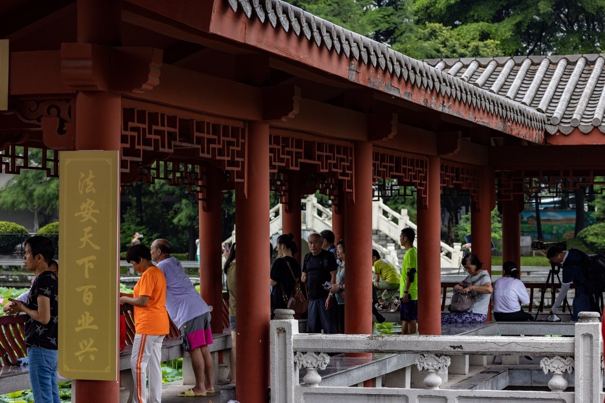 雨后荷塘（16）