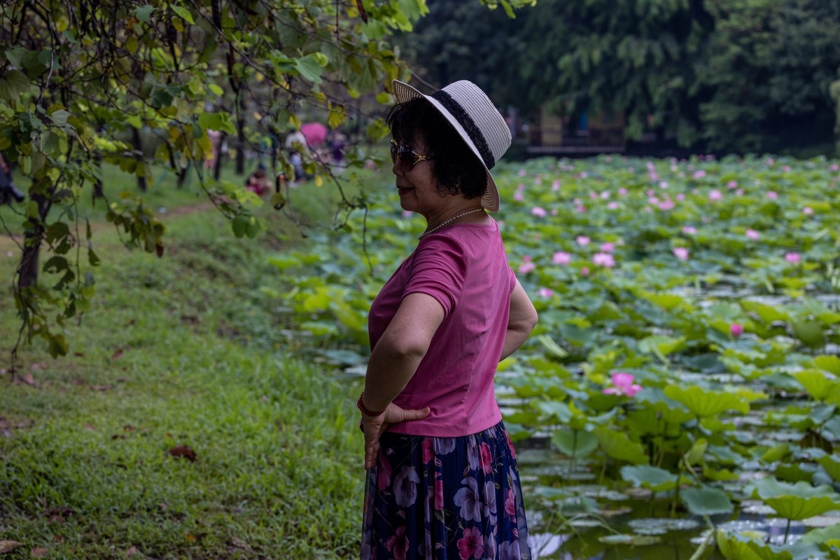 雨后荷塘（16）