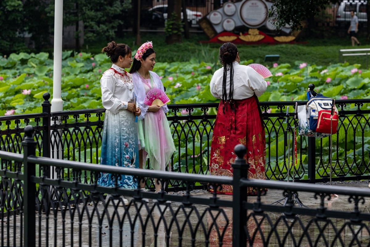 雨后荷塘（16）