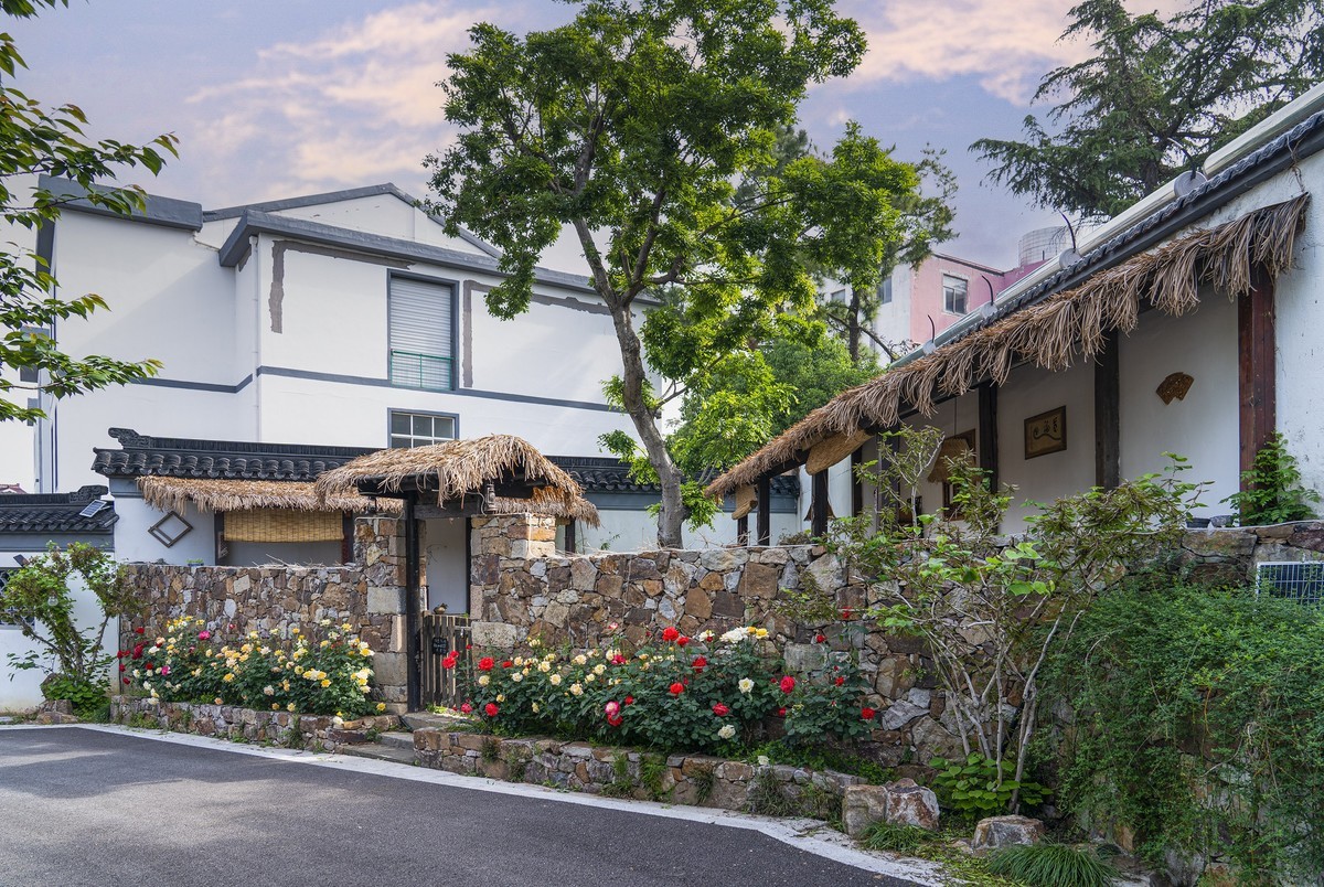 依  绿  园（续）