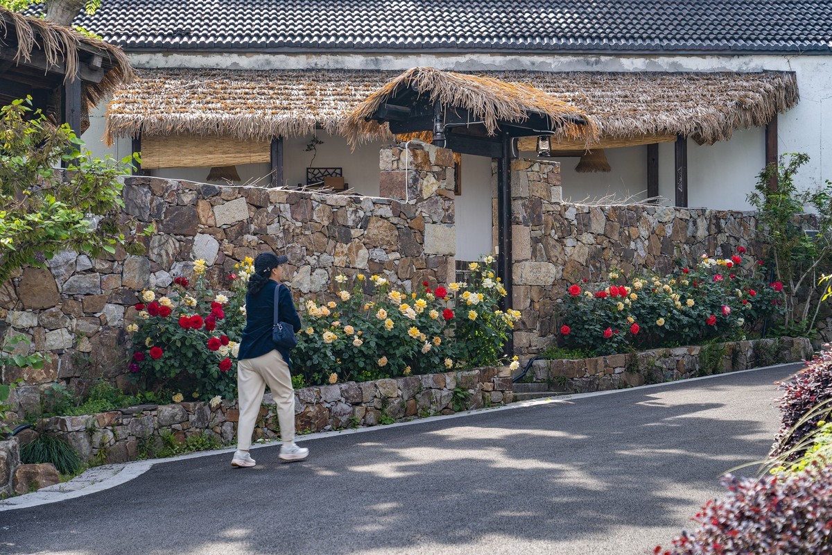 依  绿  园（续）