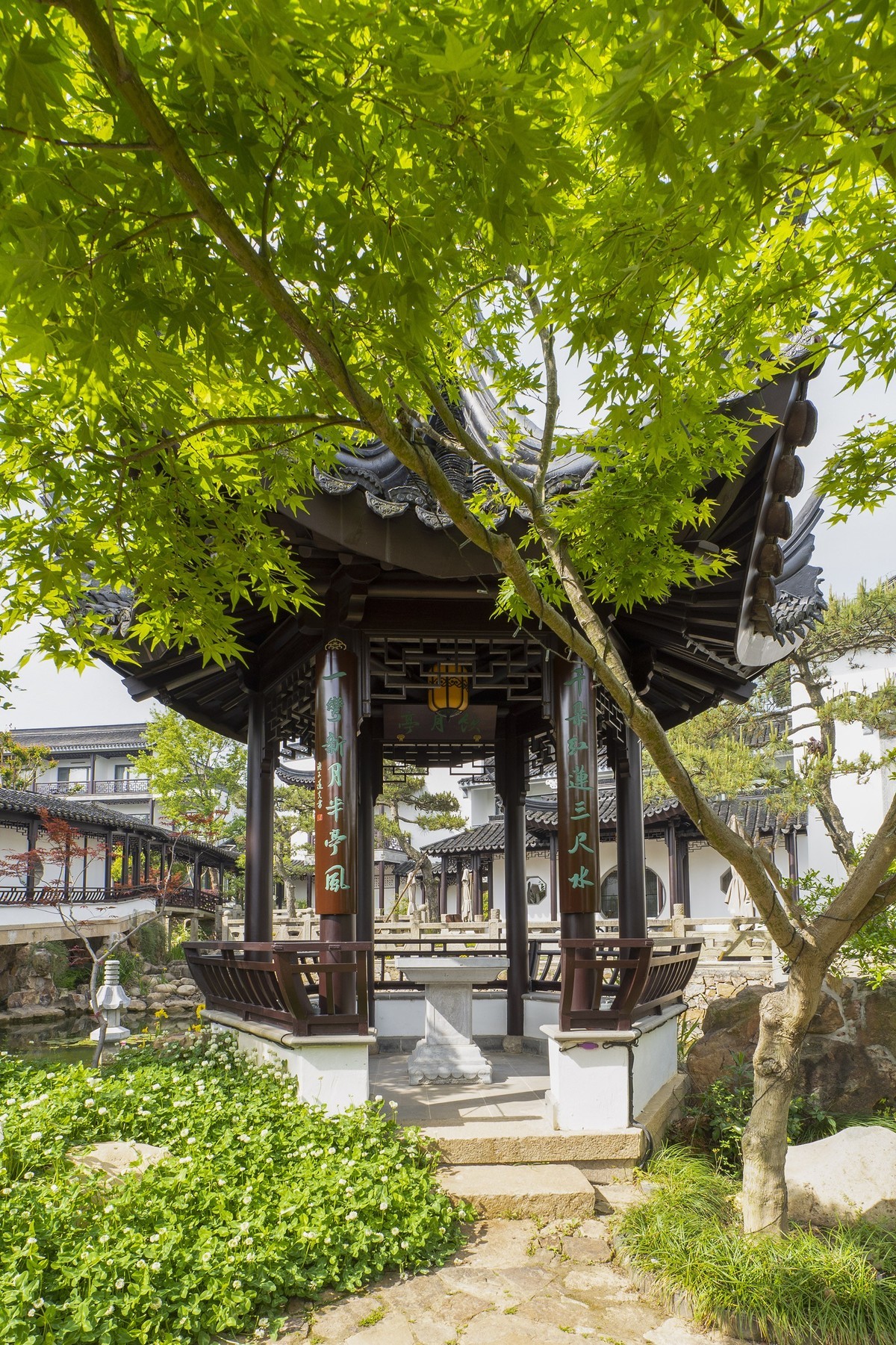 依  绿  园（续）