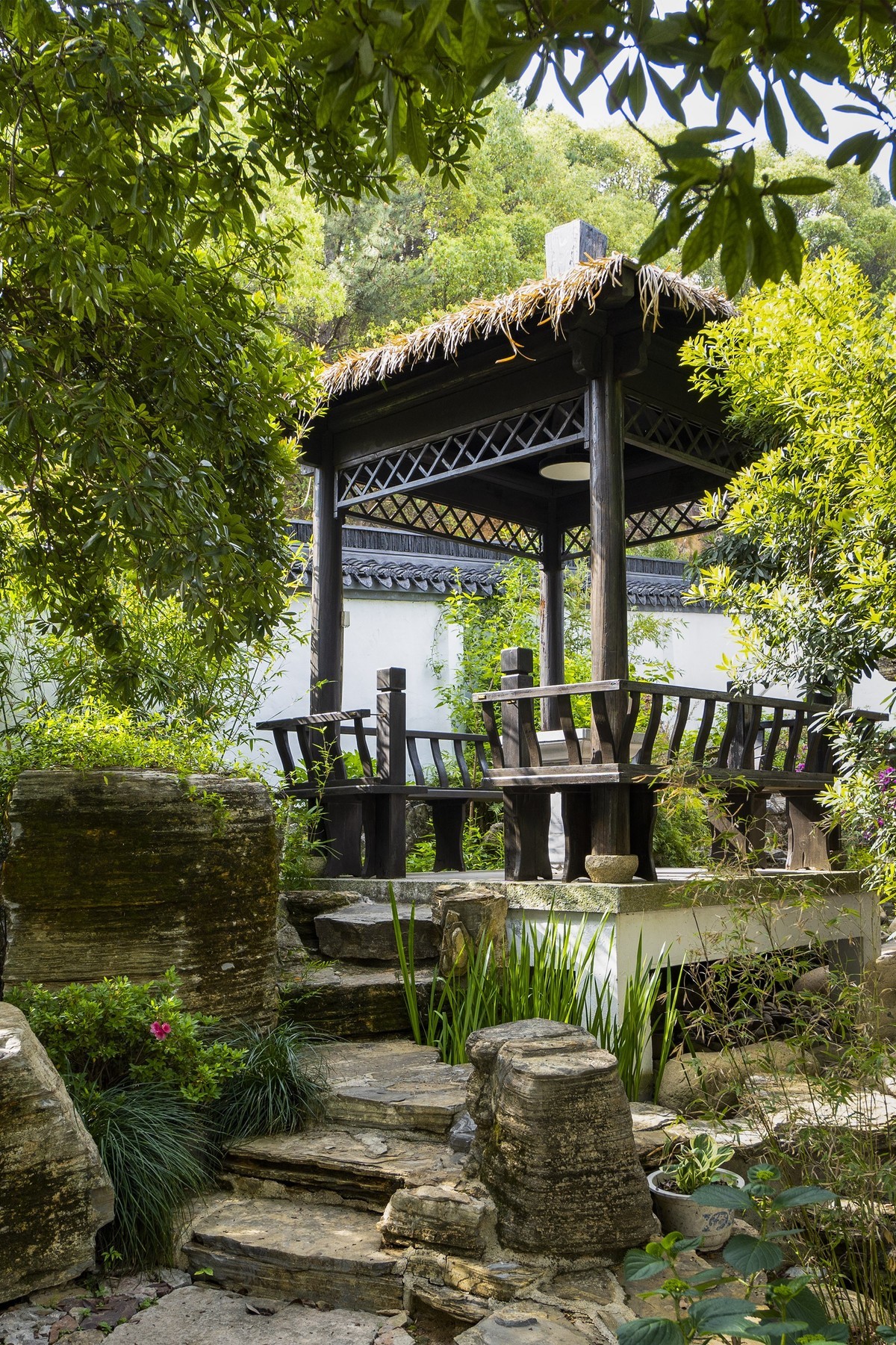 依  绿  园（续）