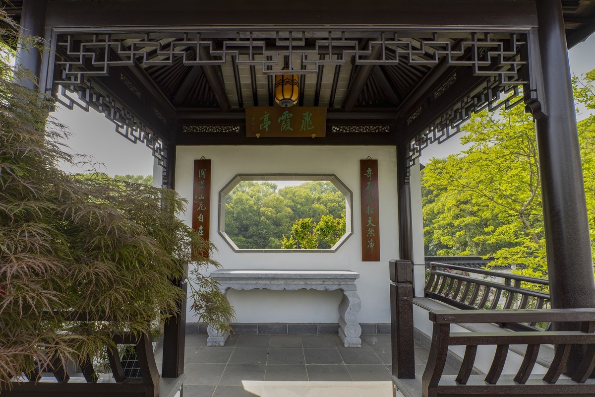 依  绿  园（续）