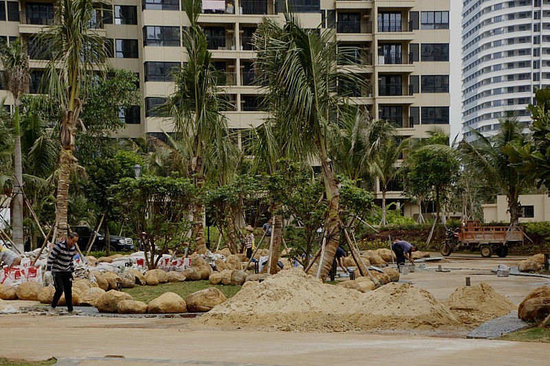 《不老松：忆海南游记》长島兰湾二期十栋前曲径花路正在施工！