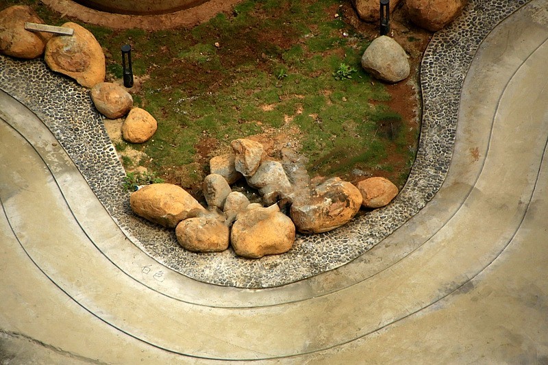 《不老松：忆海南游记》长島兰湾二期十栋前曲径花路完工美景！