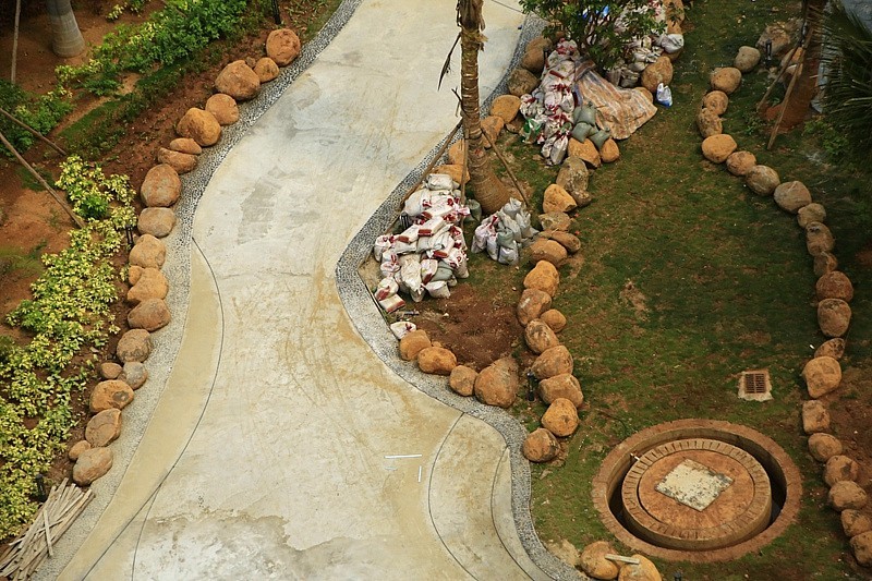 《不老松：忆海南游记》长島兰湾二期十栋前曲径花路完工美景！