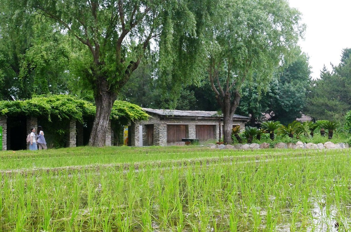 中华民族园夏【五】