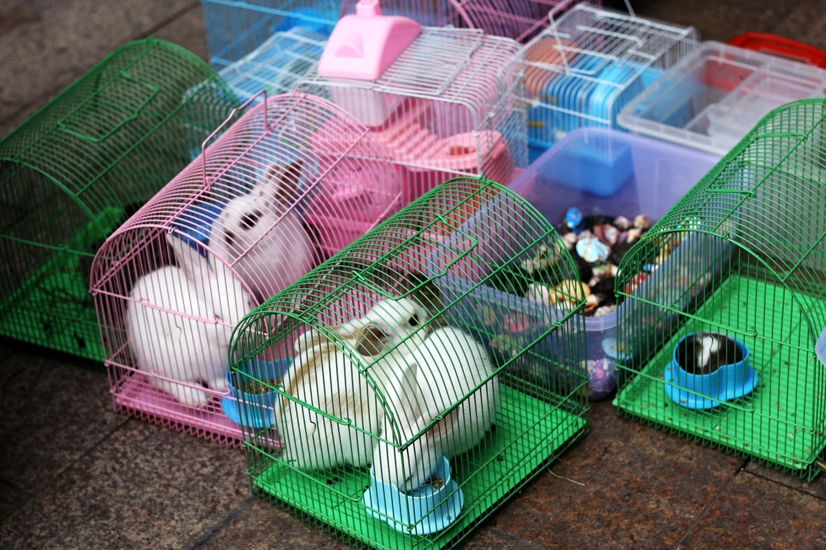 公园里的那些人和事