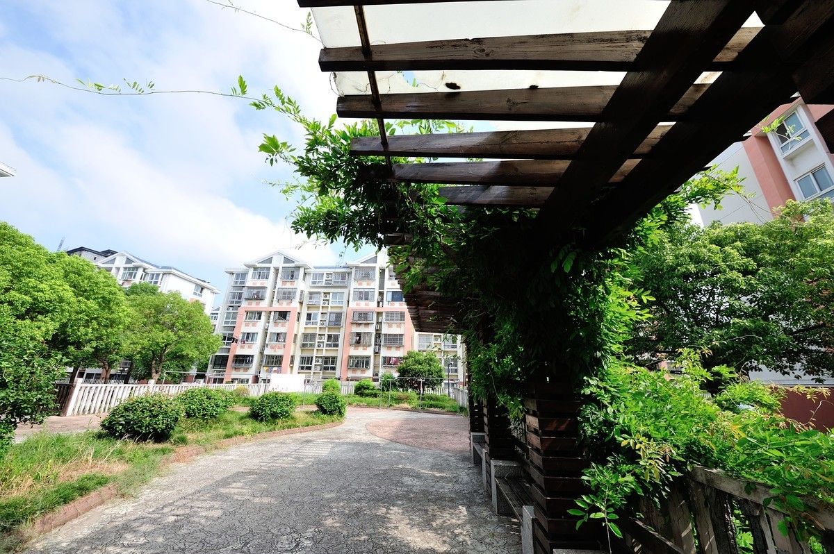 小区里面瞎鸡儿乱拍