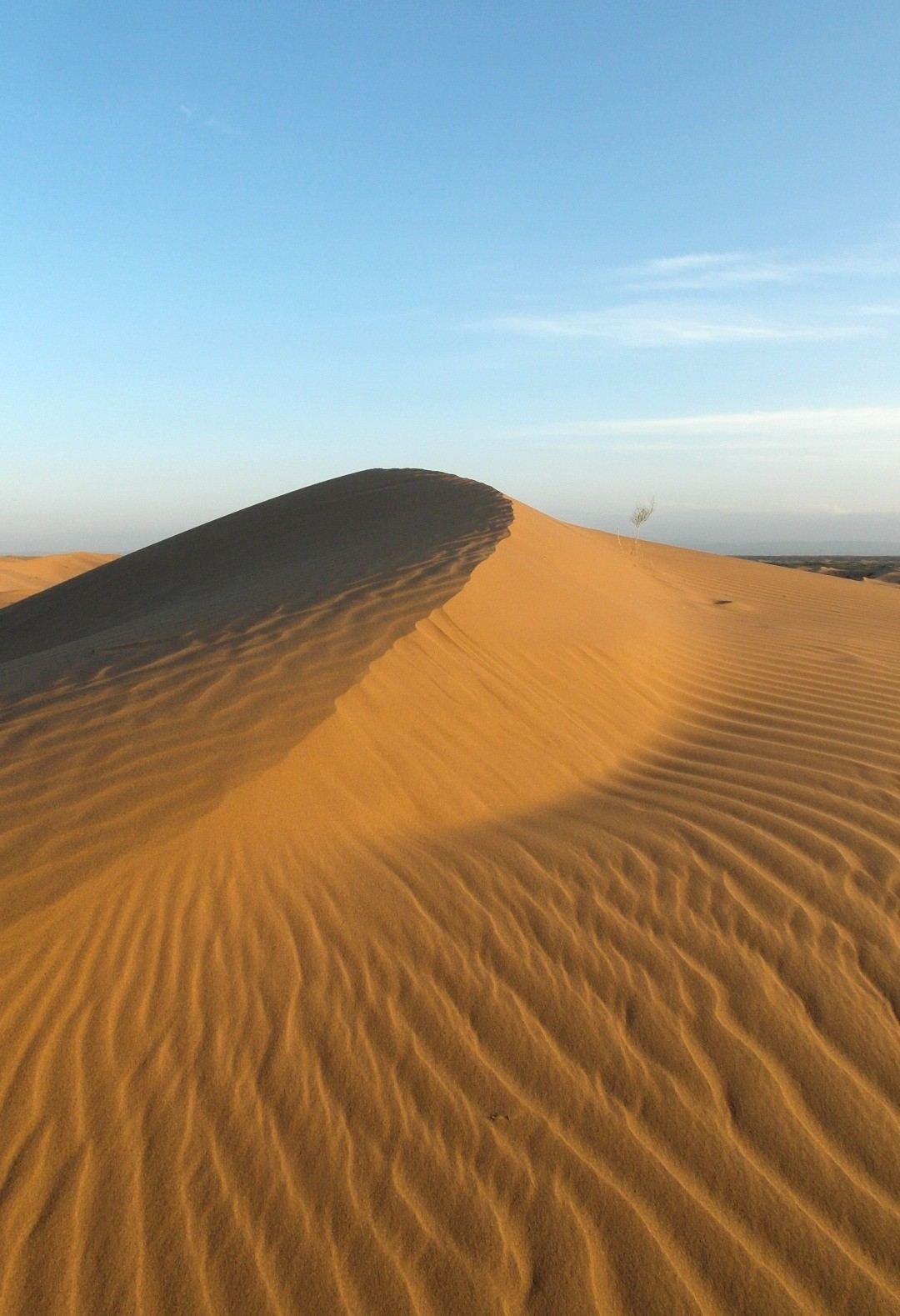 想问沙漠借那一根曲线