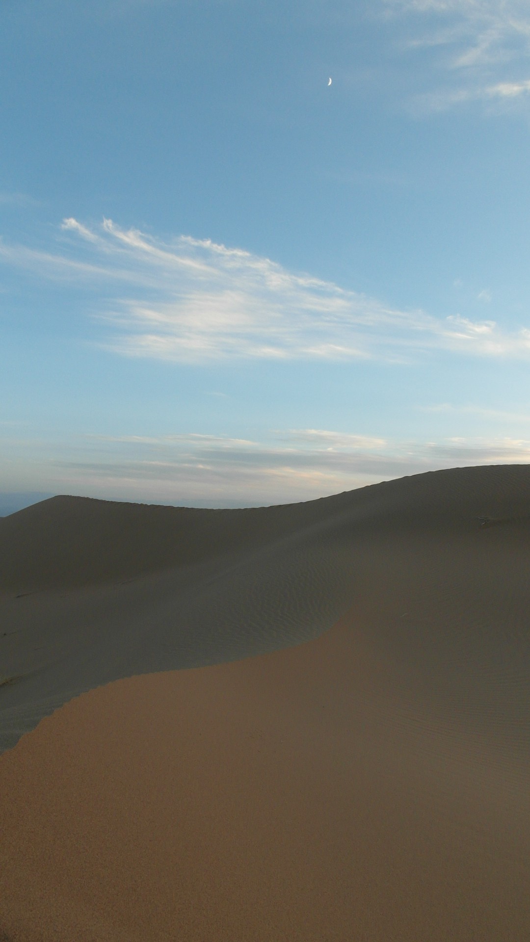 想问沙漠借那一根曲线