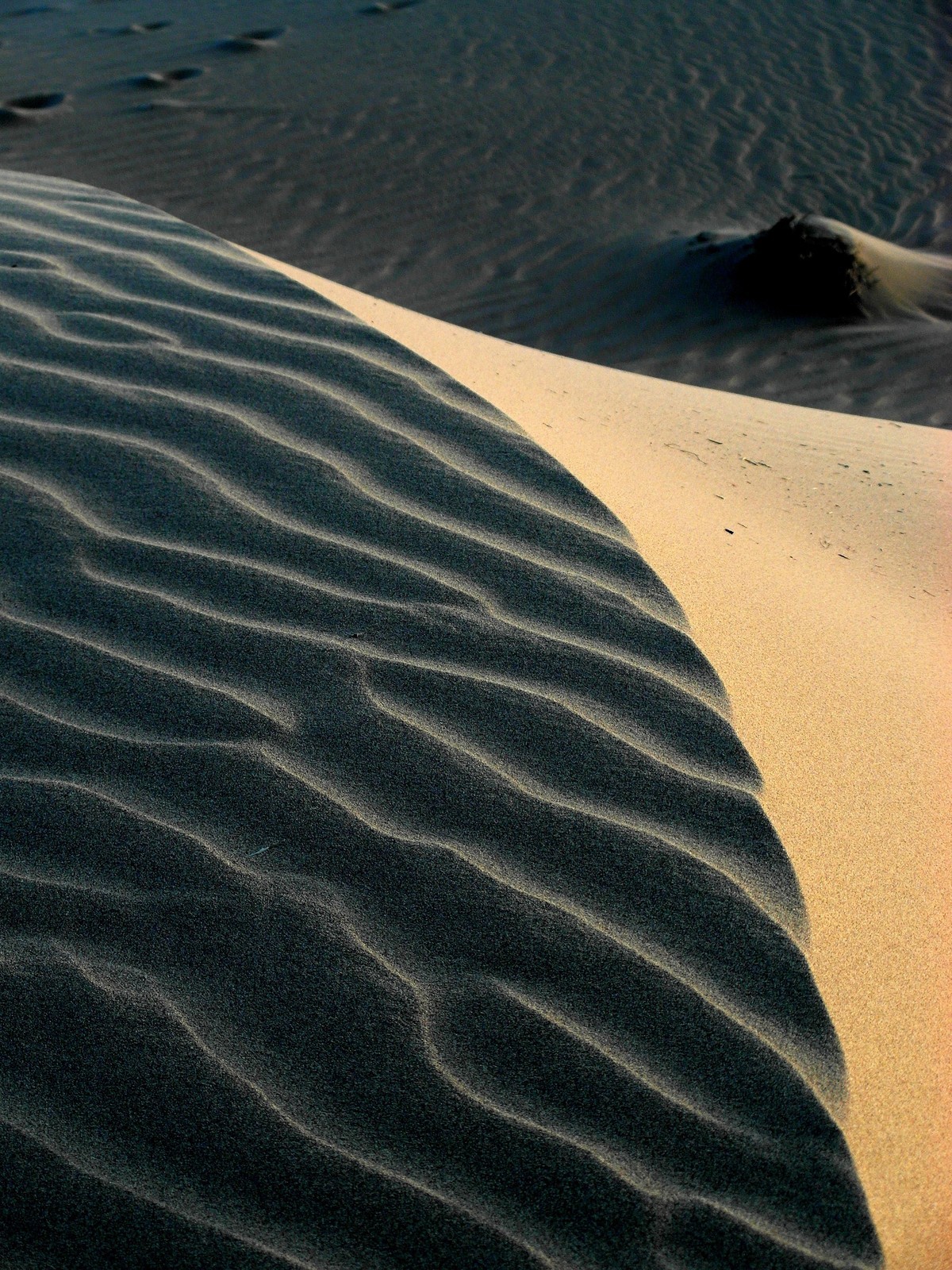 想问沙漠借那一根曲线
