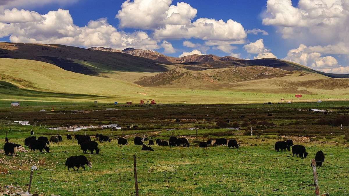 2019.06.进藏回顾 之 巴塘草原