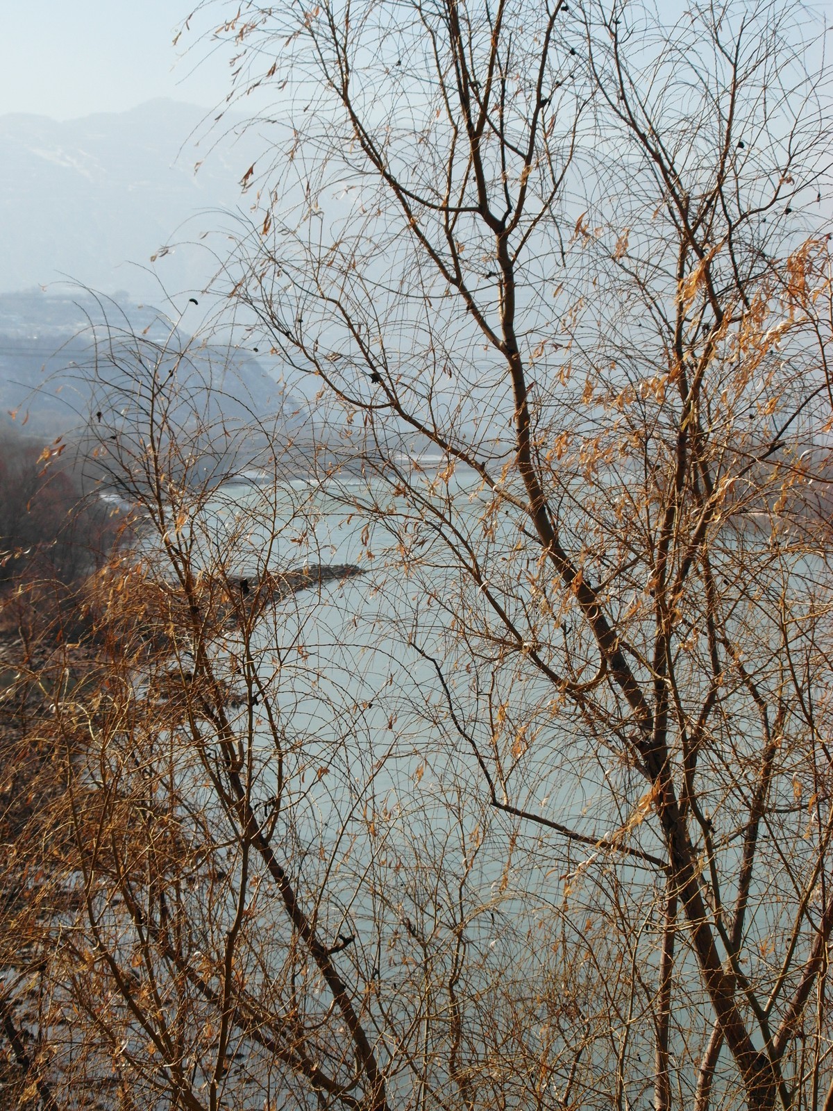 2024大年初一，万象更新。