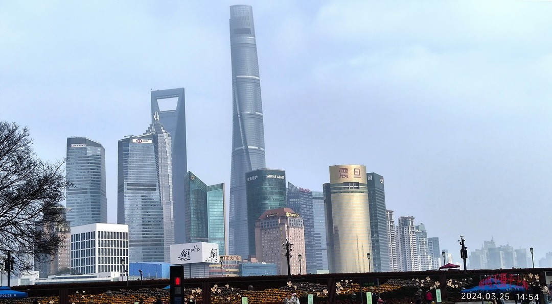 沪上行会老友     周鸣天