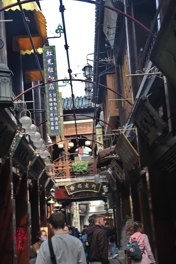 沪上行会老友     周鸣天