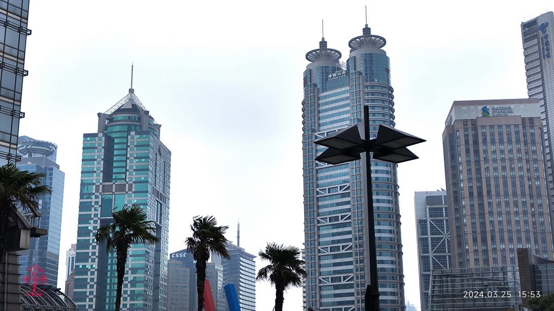 沪上行会老友     周鸣天