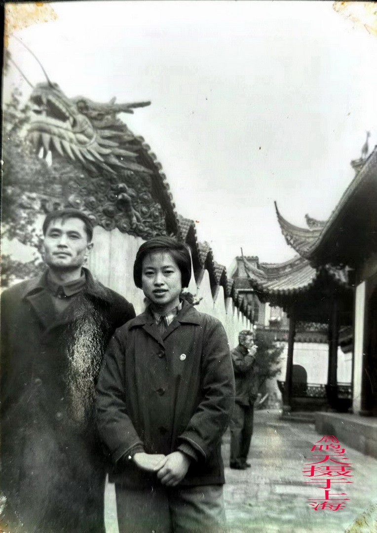 沪上行会老友     周鸣天