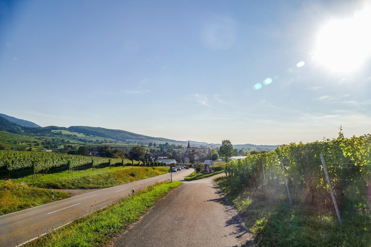 秋摄莱茵平原（南德）