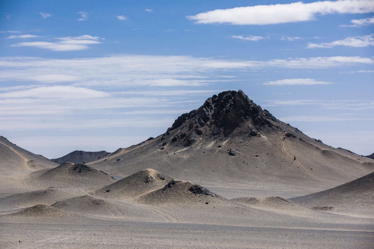 外出随拍（续220）.