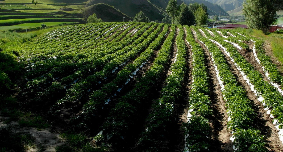 甘肃黄羊川山水