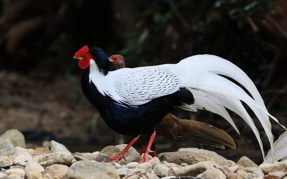 R5 功能强大！还在摸索中！