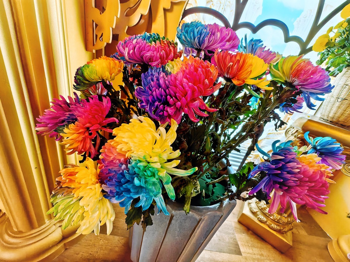 开封（矛盾城）菊展（手机版）